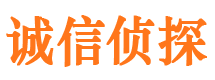 定远市私家侦探